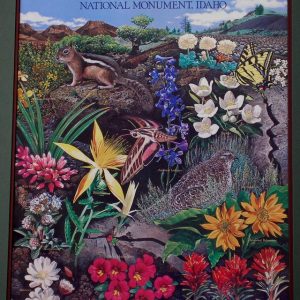 Craters of the Moon Wildflower Poster