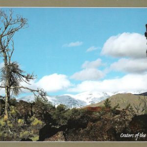 Postcard - Faces in Lava