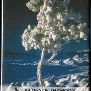 Winter Rime Tree Magnet