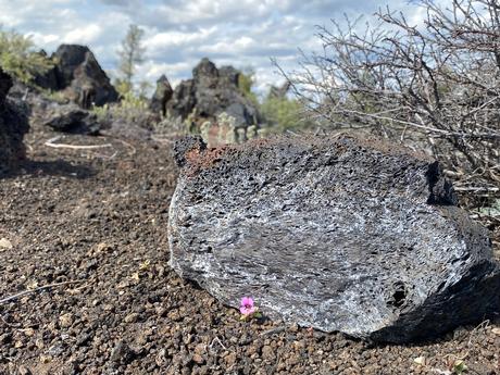 lava rock