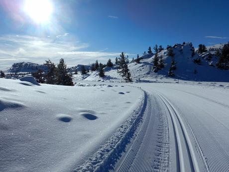 groomed trail in a winter wonderland!