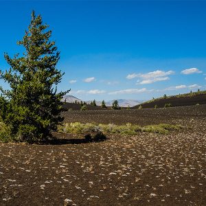 Cinder Garden, Craters of the moon