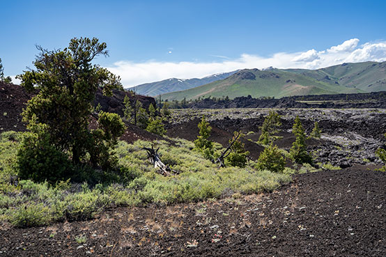 Desert sagebrush, juniper trees and lava rock landscape at Craters of the Moon National Monument in Idaho