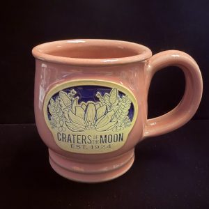 DeNeen CRMO Wildflower Mug- Pink