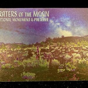 Evan Nelson Night Sky Foil Tin Magnet