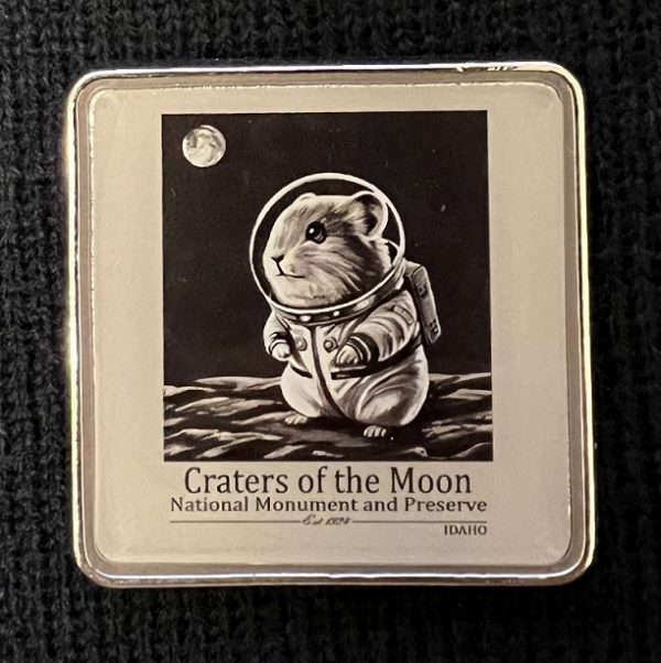 Project "Bob" Metal Magnet