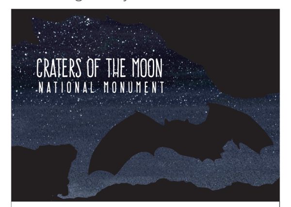 Bat Silhouette Postcard