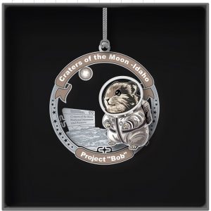 Project "Bob" Ornament